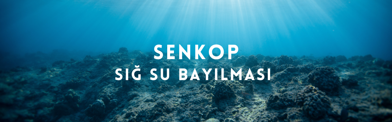 Sığ Su Bayılmasında (Senkopta) Kurtulma Şansı Var mı?