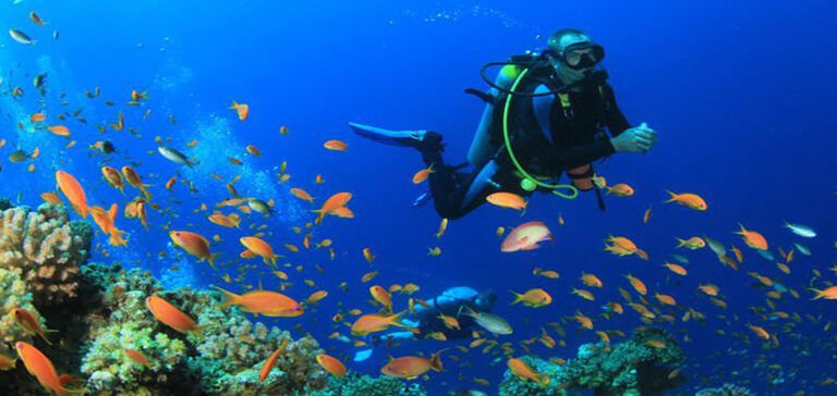 Tüplü Dalış Yapmadan Önce Bilmeniz Gerekenler!