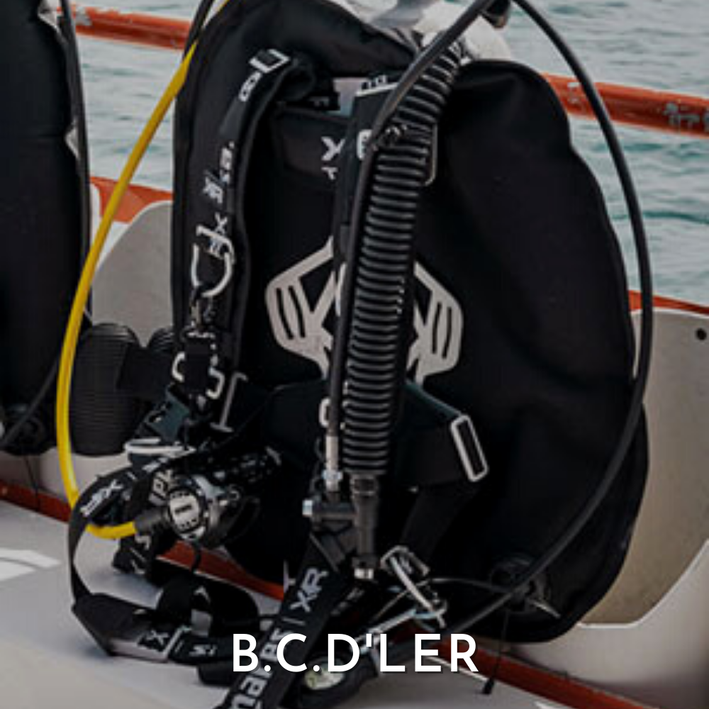B.C.D'ler