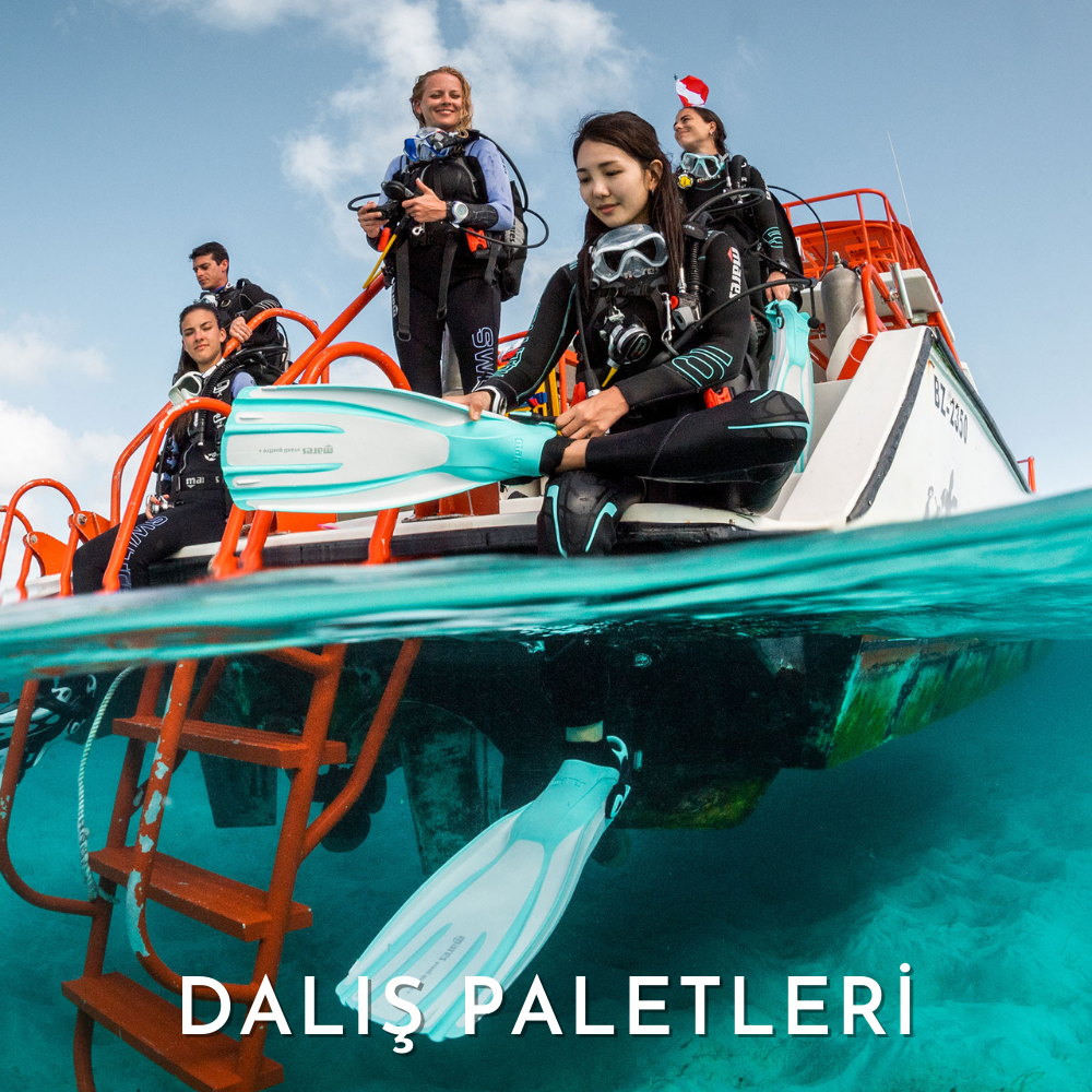DALIŞ PALETLERİ