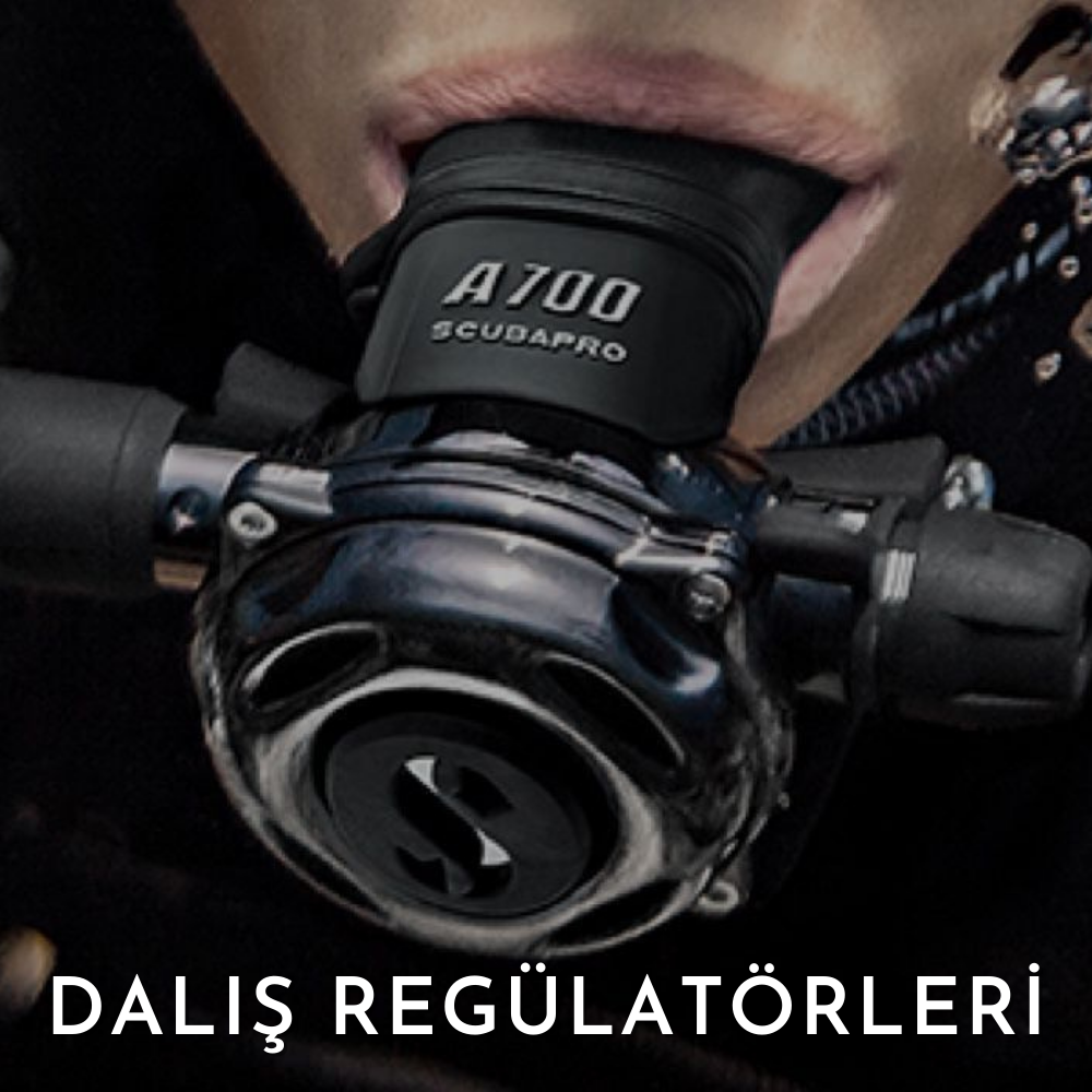 DALIŞ REGÜLATÖRLERİ